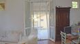 Toscana Immobiliare -