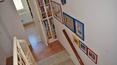 Toscana Immobiliare -