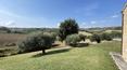 Toscana Immobiliare -