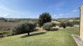 Toscana Immobiliare - 