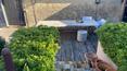 Toscana Immobiliare -