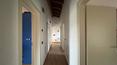 Toscana Immobiliare -