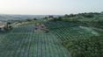 Toscana Immobiliare -