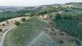 Toscana Immobiliare -