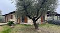 Toscana Immobiliare - 