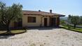 Toscana Immobiliare -