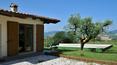 Toscana Immobiliare -