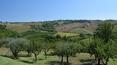 Toscana Immobiliare -