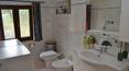 Toscana Immobiliare -