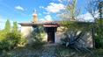 Toscana Immobiliare -