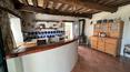Toscana Immobiliare -