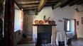 Toscana Immobiliare -