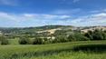Toscana Immobiliare -