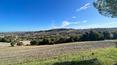 Toscana Immobiliare -
