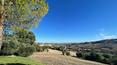 Toscana Immobiliare -