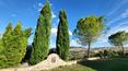 Toscana Immobiliare -