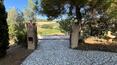 Toscana Immobiliare -