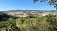 Toscana Immobiliare -