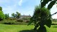 Toscana Immobiliare -