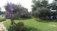 Toscana Immobiliare -