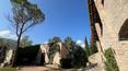 Toscana Immobiliare -