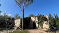 Toscana Immobiliare -