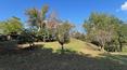 Toscana Immobiliare -