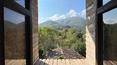 Toscana Immobiliare -