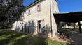 Toscana Immobiliare -