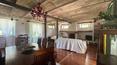 Toscana Immobiliare -