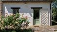 Toscana Immobiliare -