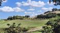Toscana Immobiliare -