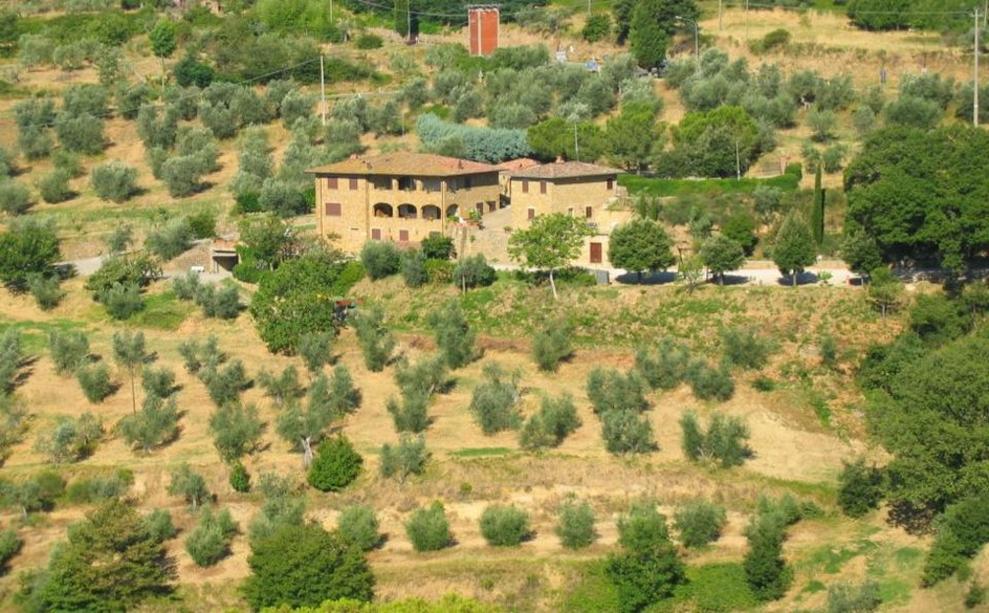 Toscana Immobiliare - vista del casale in pietra situato in posizione panoramica e dominante con vista sulla val d\'orcia; 1200 olivi di proprietà inclusi in 6 ettari di pertinenza
