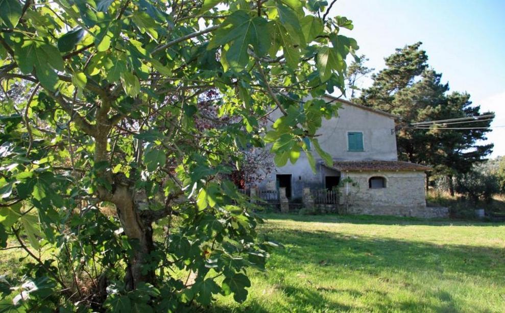 Toscana Immobiliare - Country real estate with big house and outbuildings for sale near Monte San Savino