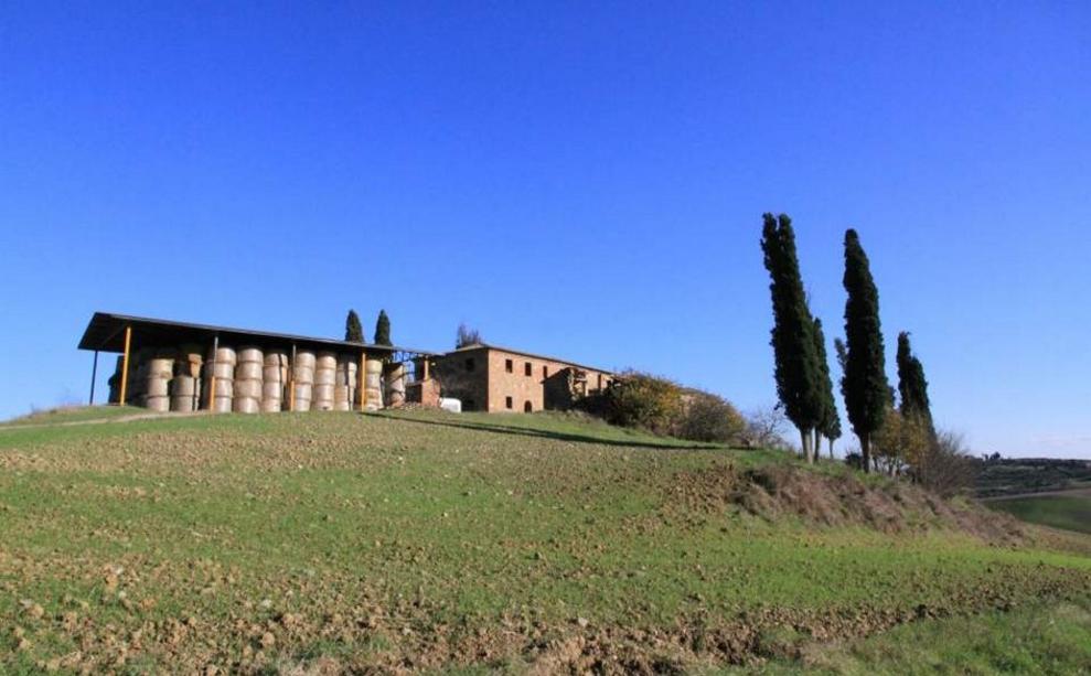 Toscana Immobiliare - Big farmhouse in hilly panoramic position to restore in Torrita di Siena