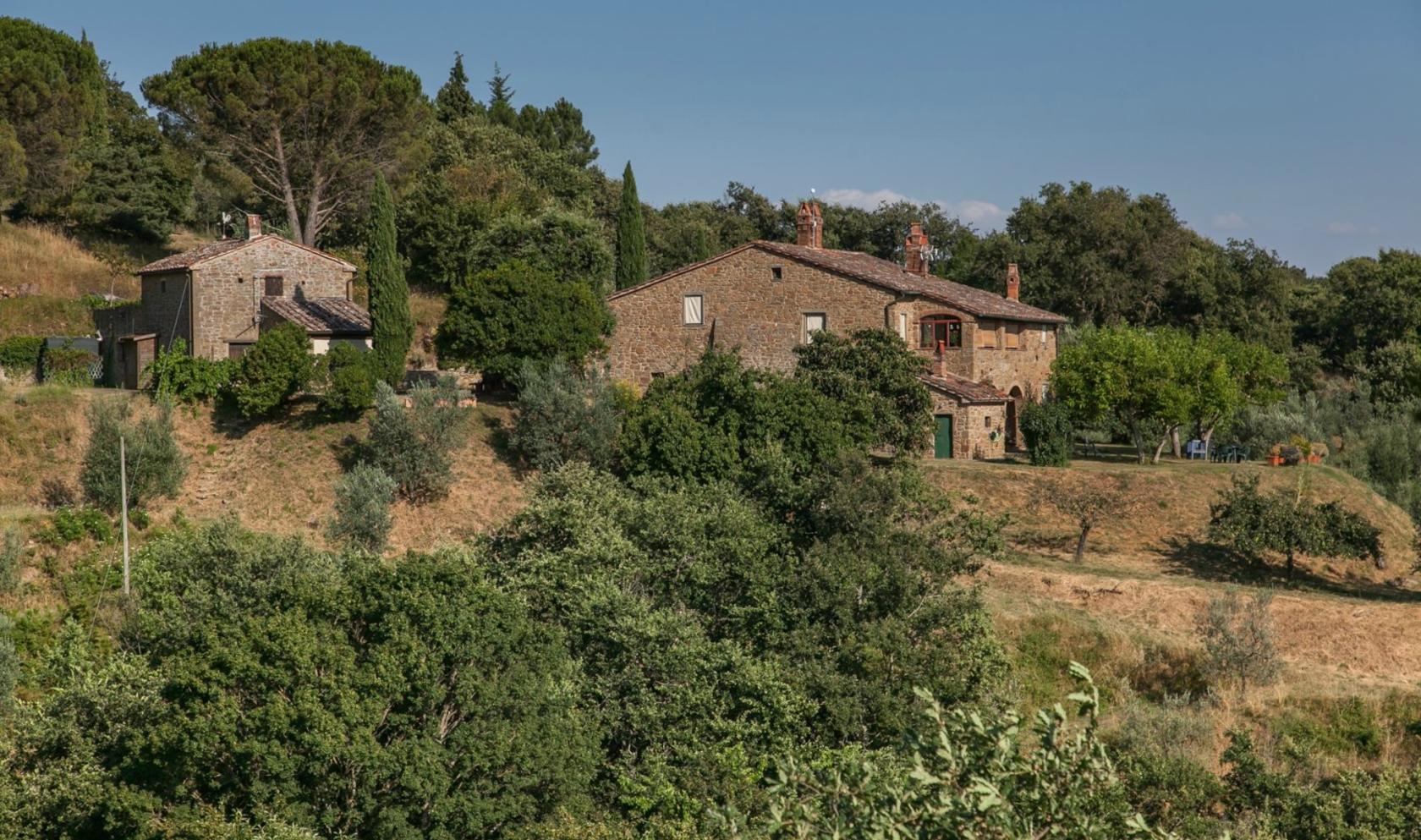 Toscana Immobiliare - Country house for sale in Monte San Savino, Tuscany