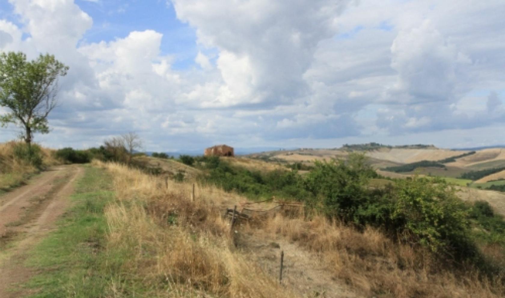 Toscana Immobiliare - siena azienda agricola