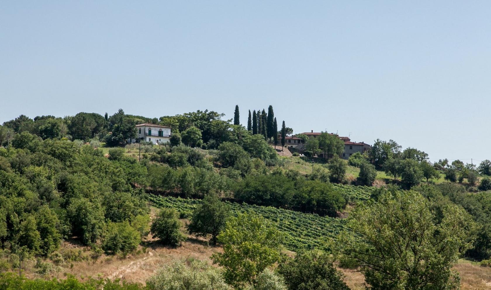 Toscana Immobiliare - The panorama extends far as the eye on Valdichiana and Valdambra.