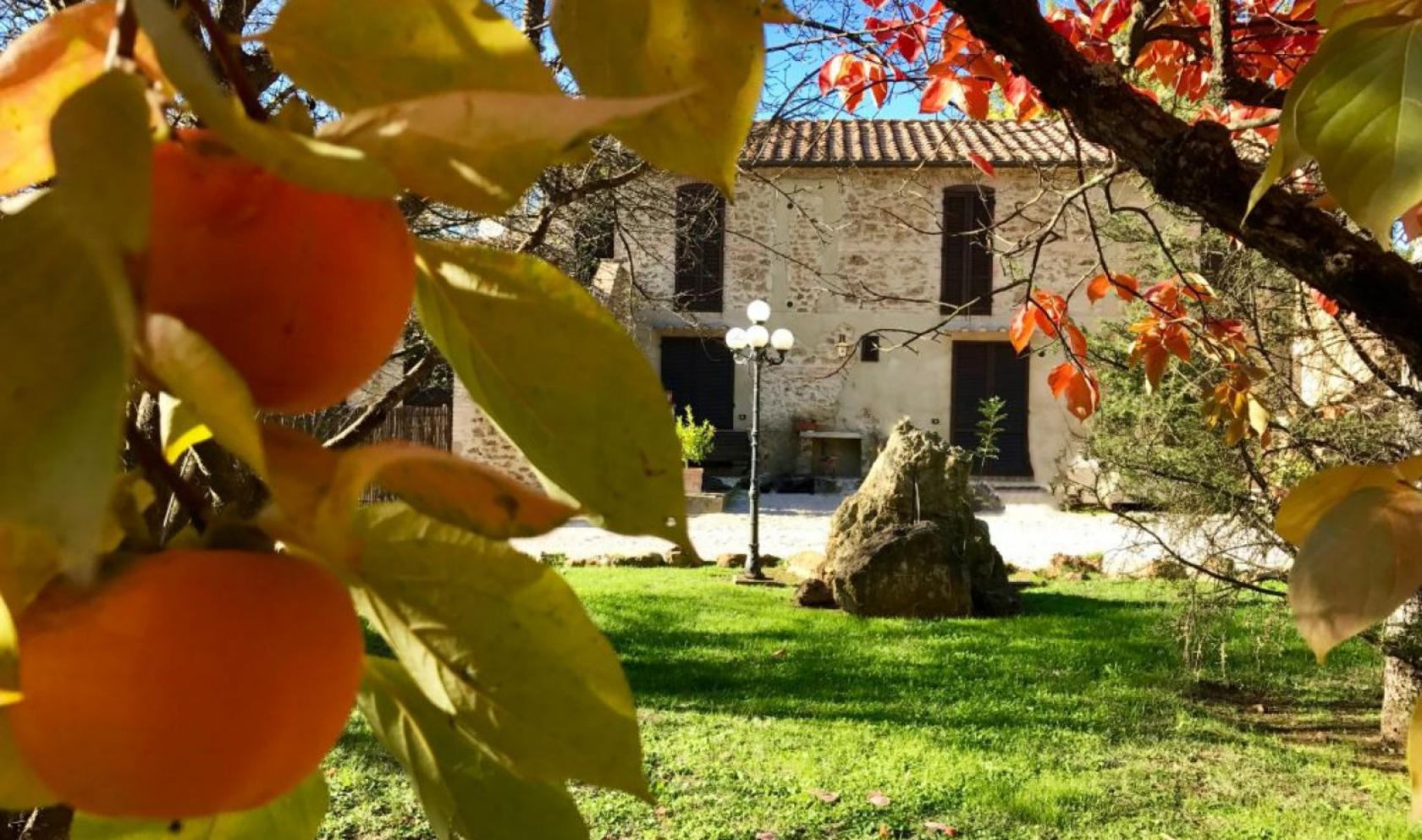 Toscana Immobiliare - The property consists of four stone faceted buildings of a total of 1600 sqm with spacious relax area, pool, gardens, pine forests, groves and orchards