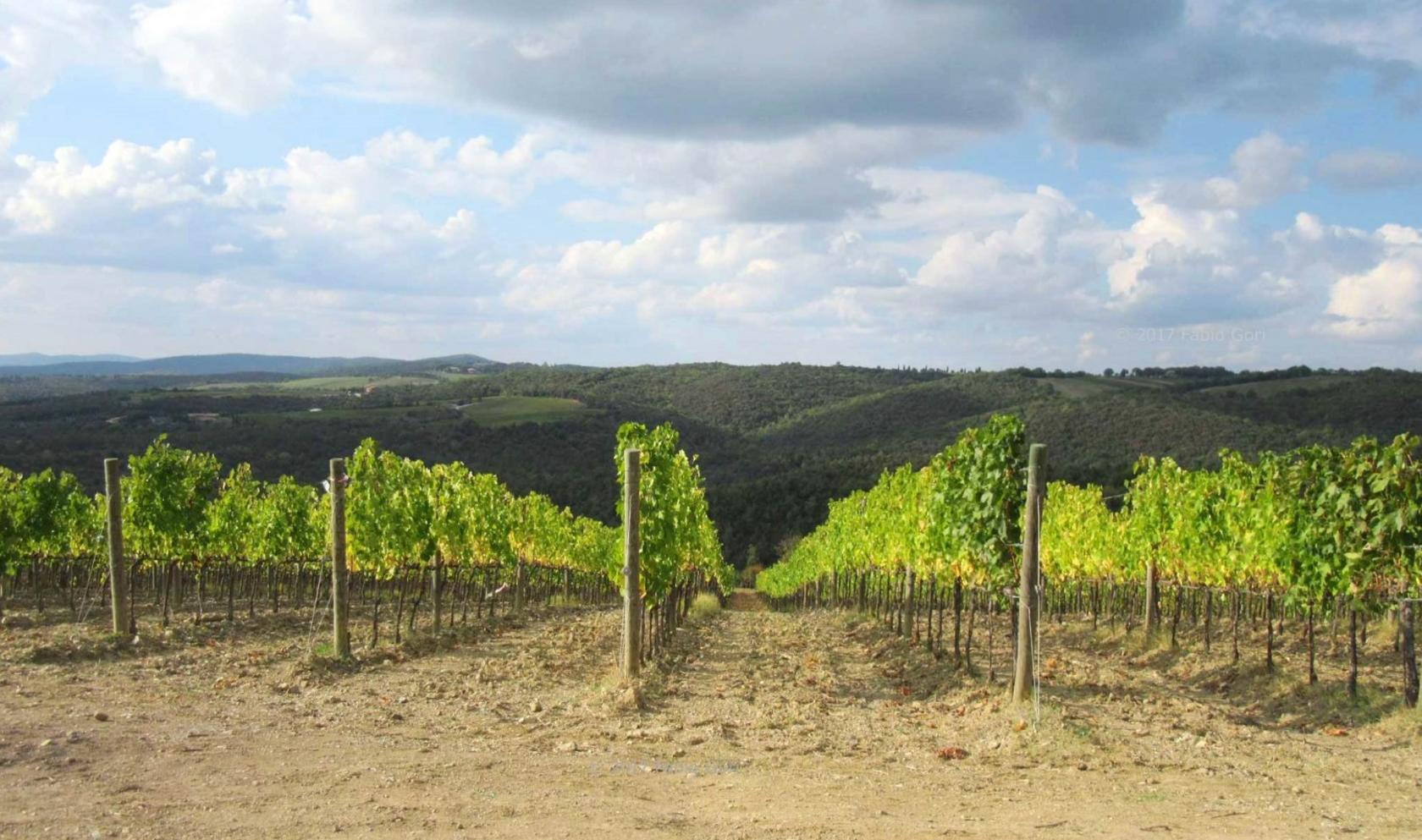 Toscana Immobiliare - winery estate for sale in Tuscany, Brunello area