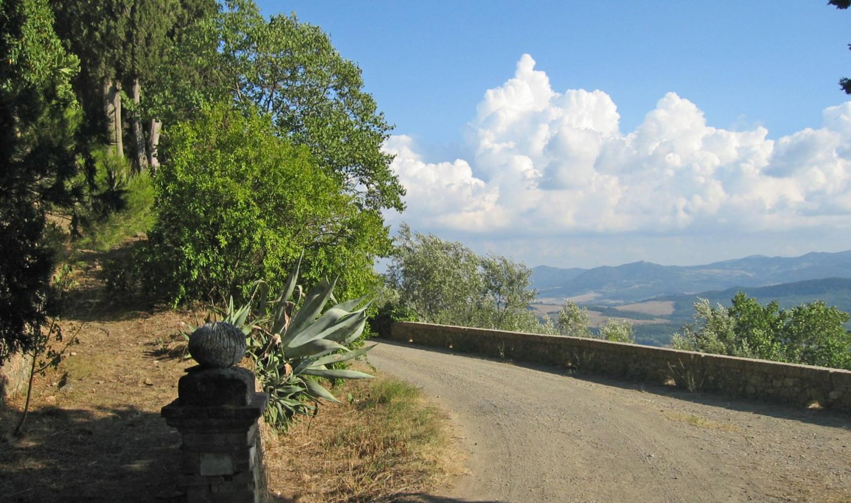 Toscana Immobiliare - The farm estate extends over 43 hectares of land and 