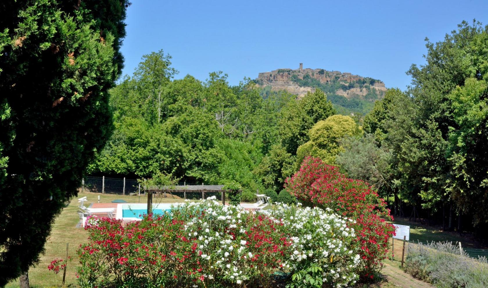 Toscana Immobiliare - garden and swimming pool of the house in Civita di Bagnoregio