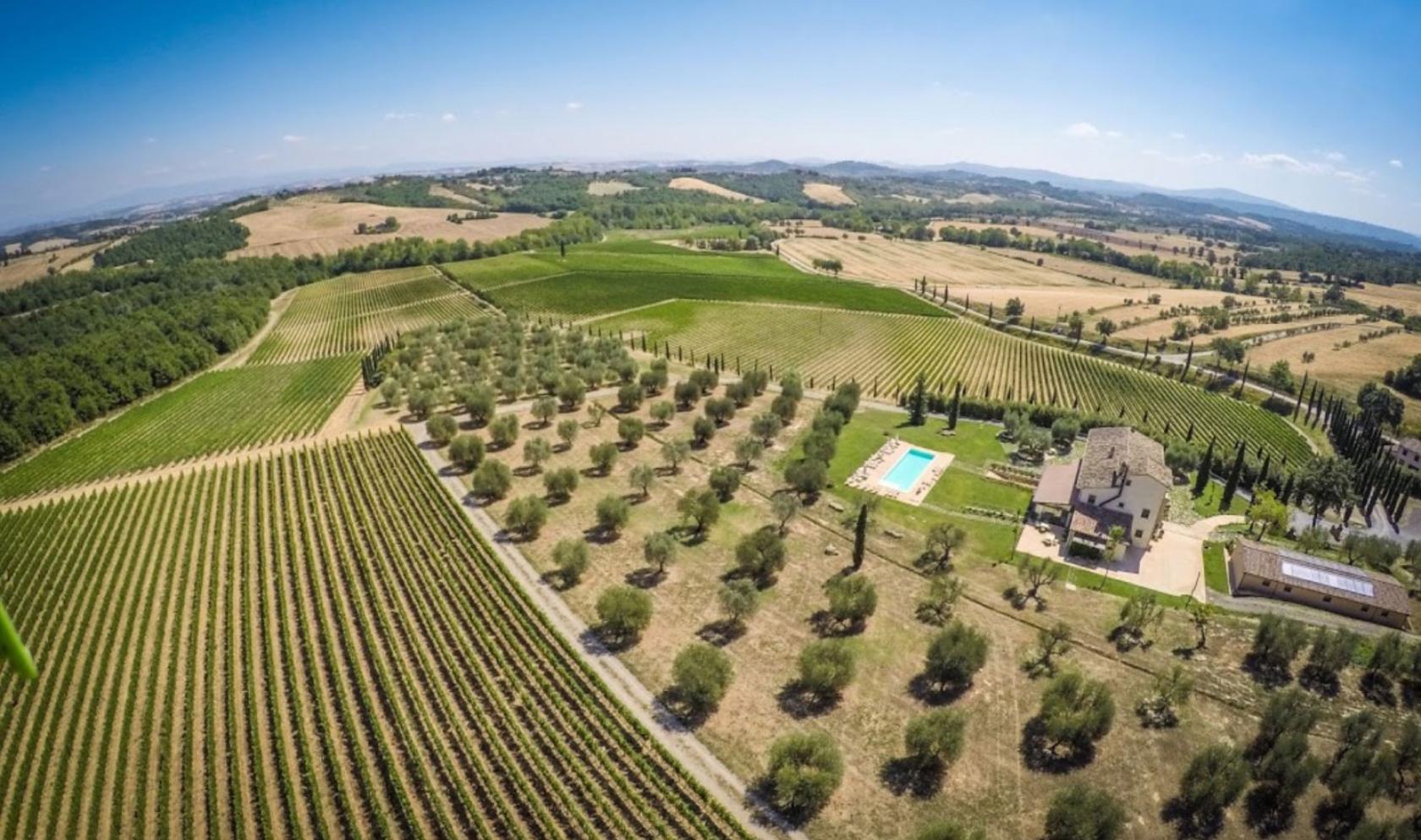 Toscana Immobiliare - Winery with wine cellar and vineyards in Tuscany