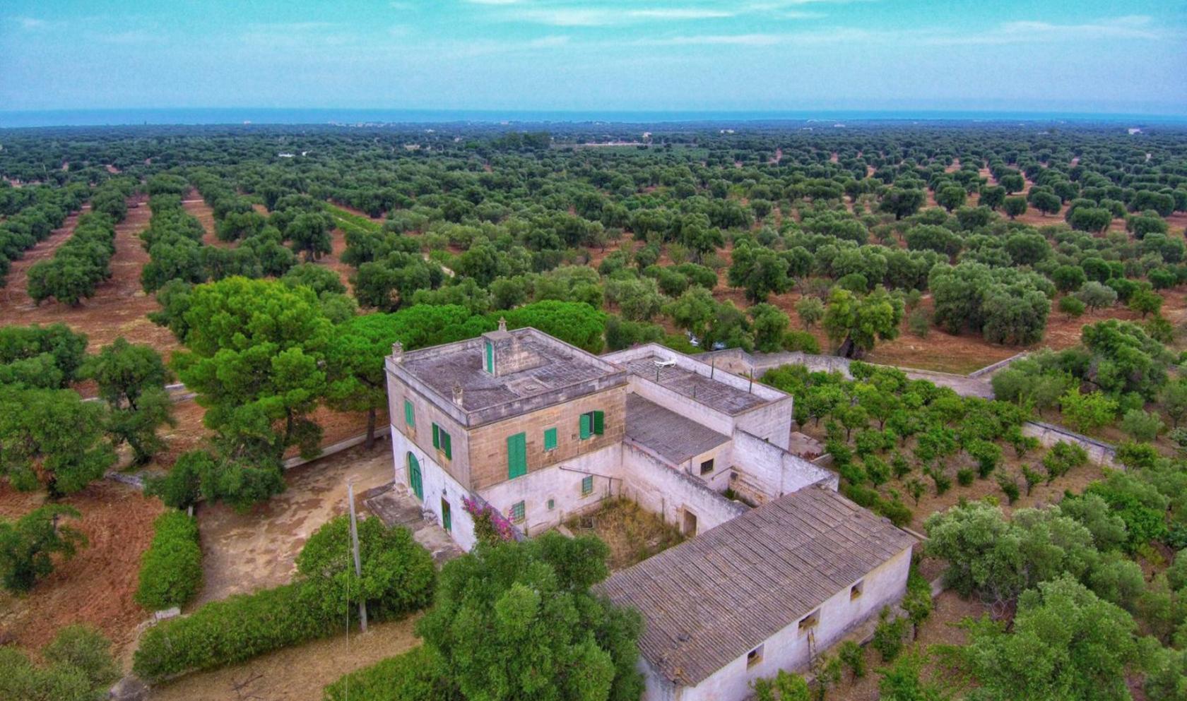 Toscana Immobiliare - farmhouse for sale in Puglia in Ostuni