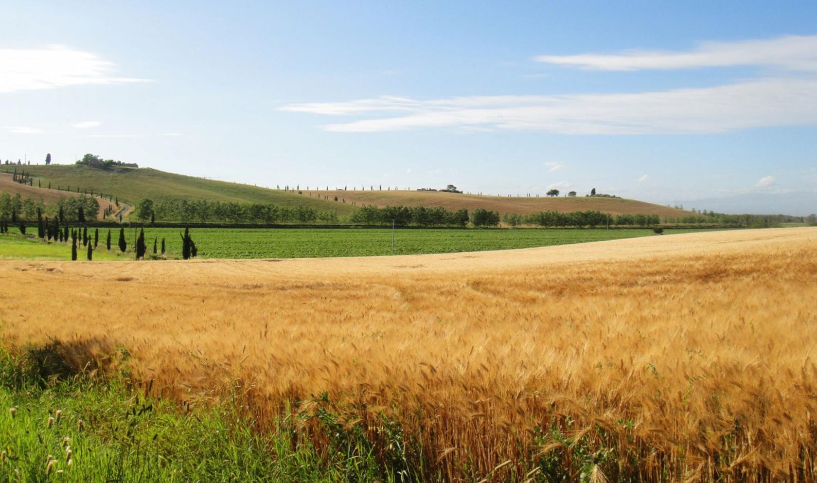 Toscana Immobiliare - Tenuta di 700 ettari con riserva naturale di caccia in vendita in Toscana