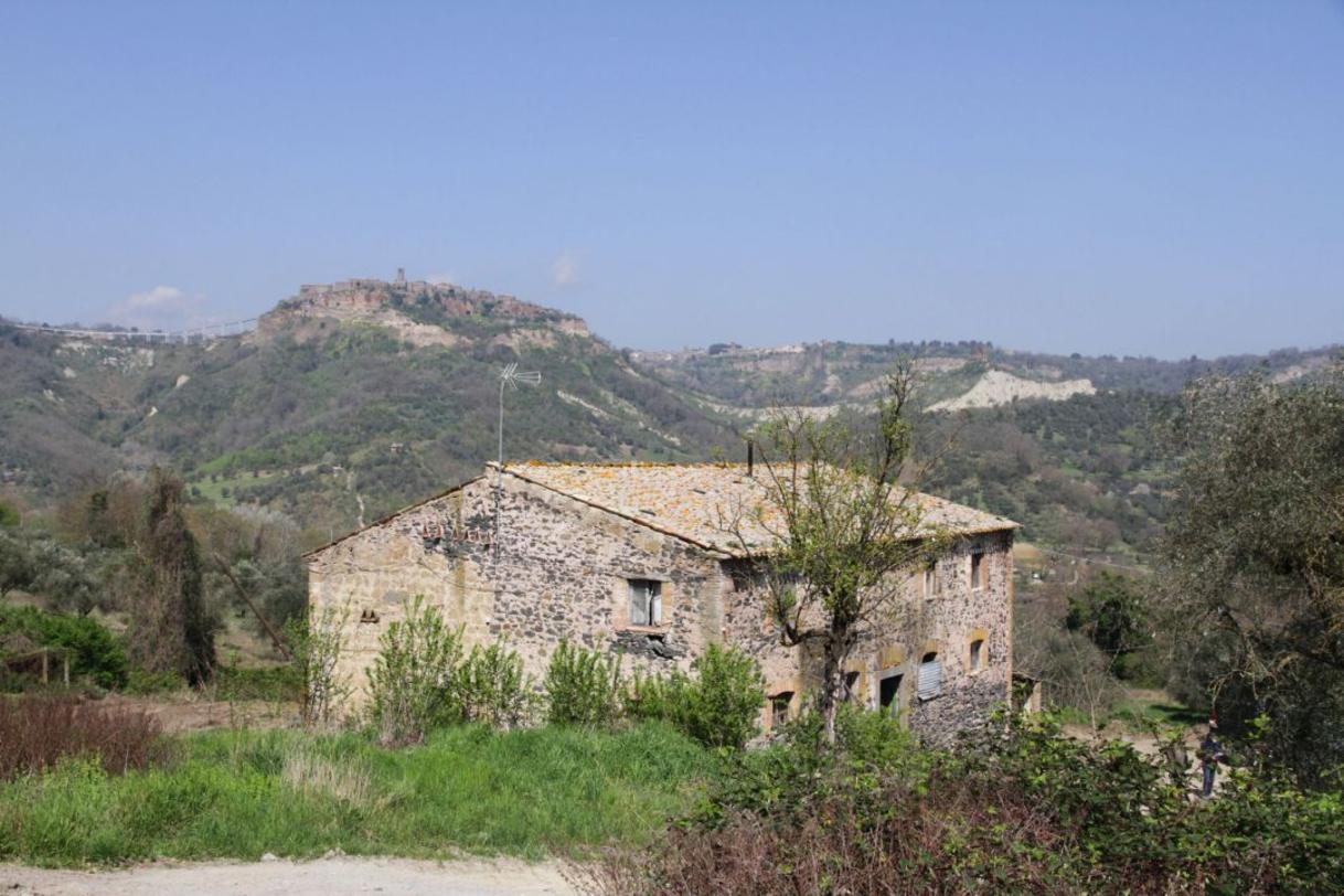 Toscana Immobiliare - Farmhouse to be restored for sale in Civita di Bagnoregio with a panoramic view of the town of Civita
