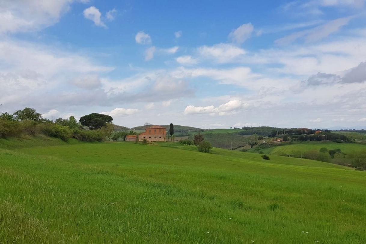 Toscana Immobiliare - Casale da restaurare in vendita a montepulciano, Siena