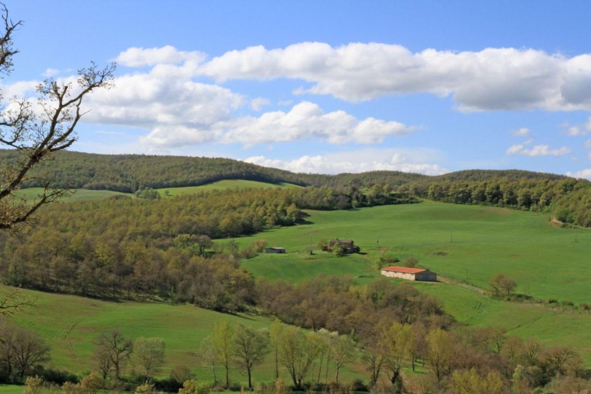 Toscana Immobiliare - Farm with 70 hectares of land for sale in Montepulciano, Siena, Tuscany