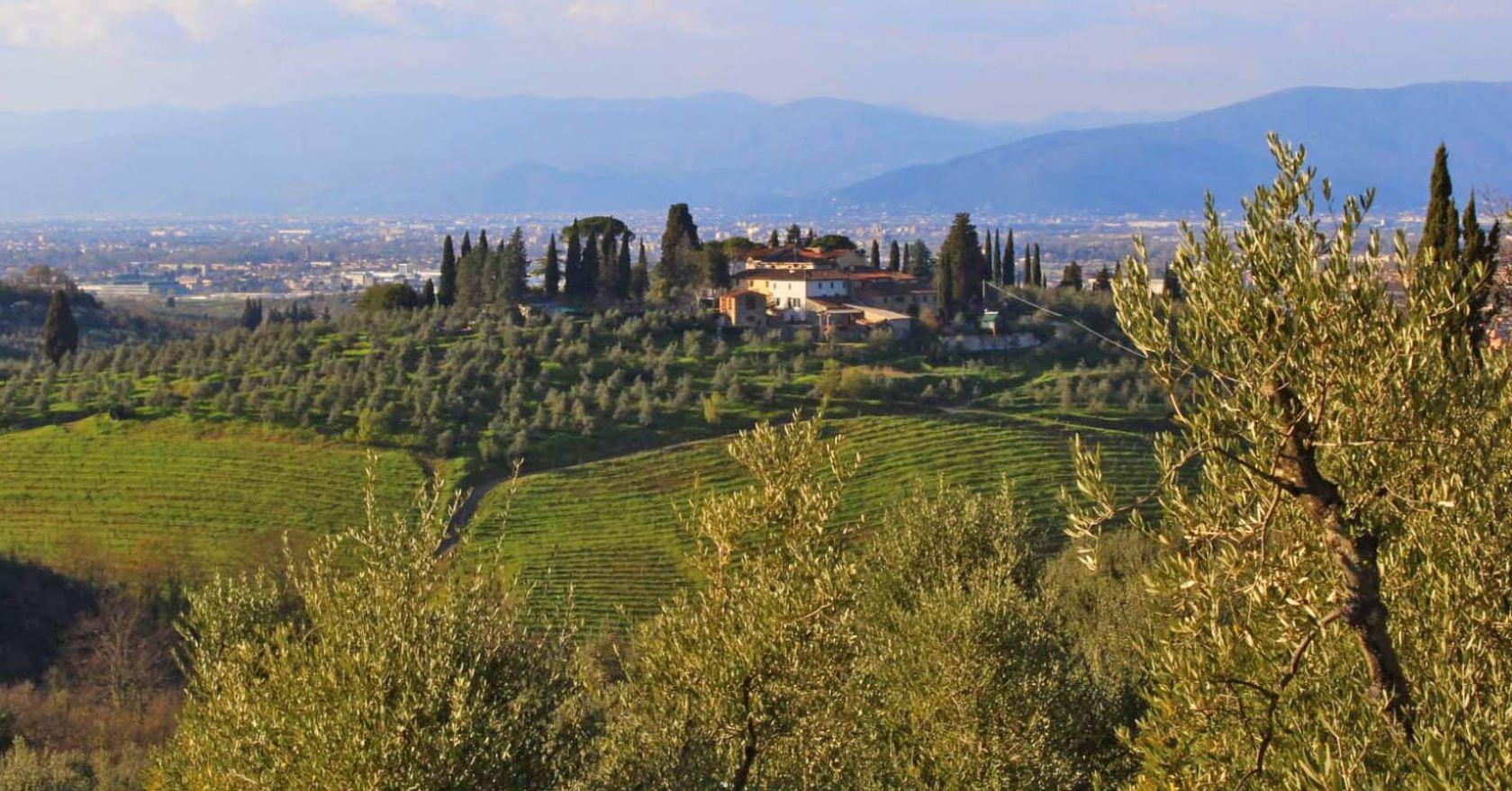 Toscana Immobiliare - Farm with vineyards for sale in Florence