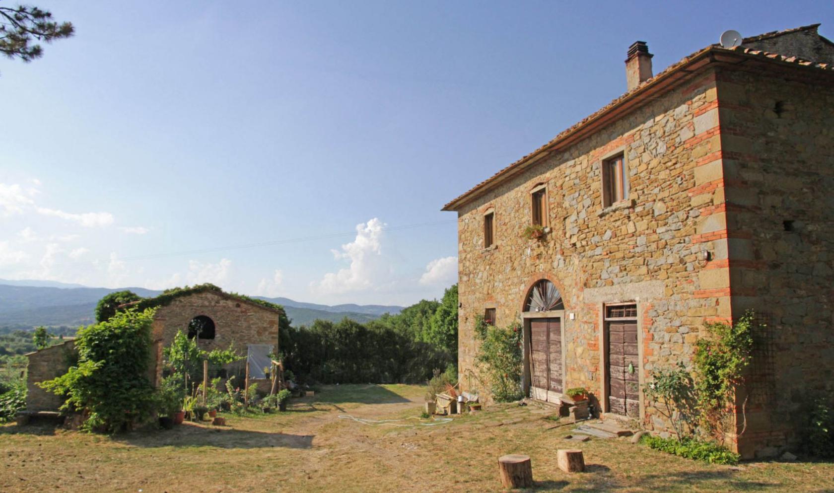 Toscana Immobiliare - For sale in Tuscany farm with vineyard, olive grove, farmhouse. Arezzo